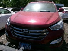 Driver Left Front Door LWB Fits 13-19 SANTA FE 1639759