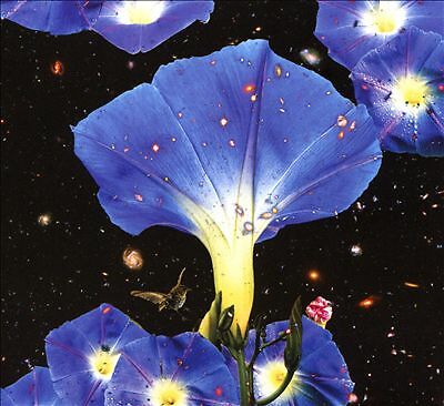 Sarah Louise : Nighttime Birds and Morning Stars [New & Sealed] CD Digipack