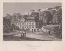 Schlangenbad Kurhaus Original Stahlstich Lang 1844