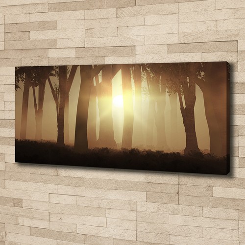Tableau Tulup Sur Toile - Paysage De Lac à L'ouest - 125x50cm - Déco Murale