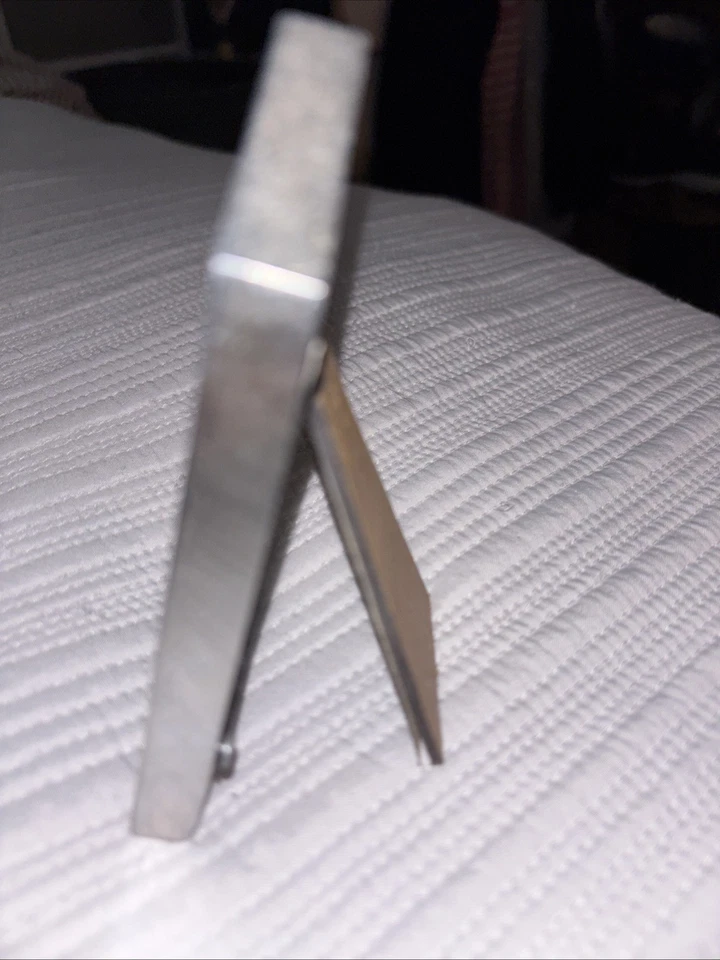 Marco de fotos de casa de perro temático perro buen perro colgar o soporte trama plateada Foto 3 de 4