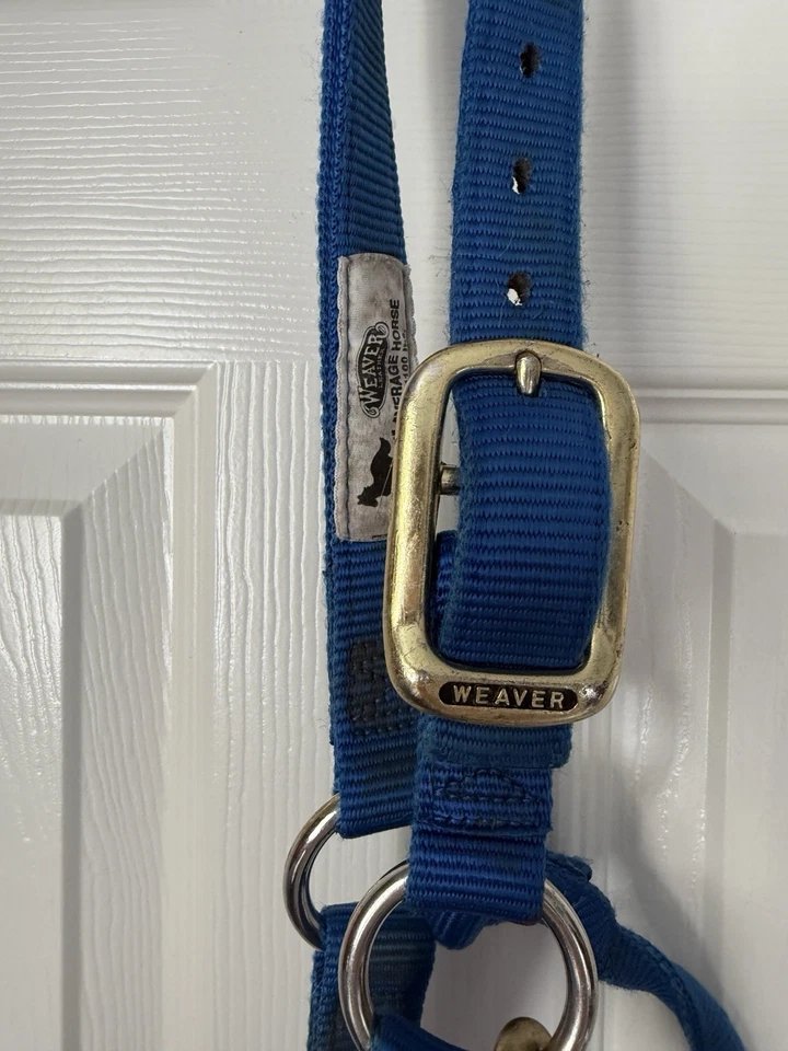Halter de caballo de nailon y tejedor de caballos grande azul real Foto 2 de 3