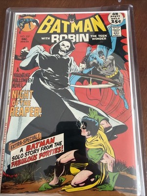 Batman And Robin 237