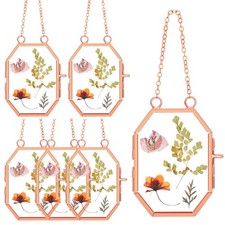 Set of 6 Double Glass Frame for Pressed Flowers 2.5 x 3.5 Inch Small Hanging ...