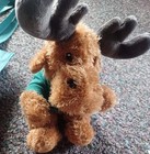 University of Alberta Moose — photo 5