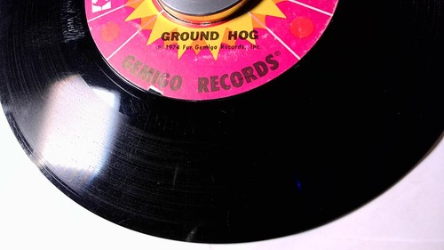 GROUND HOG-BUMPIN /PART II/7"/GEMIGO RECORDS/CHICAGO DEEP FUNK/GMA 100/1974 - Picture 7 of 9