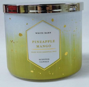 pineapple mango candle bath and body works
