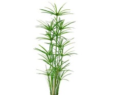 Knstliche Papyrus-Pflanzen online kaufen | eBay.de