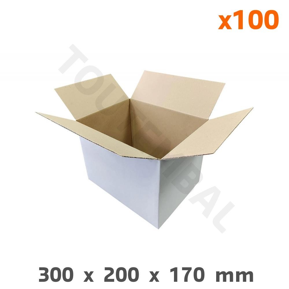 Caisse carton blanche simple cannelure légère et rigide 300x200x170mm lot de 100 boîtes