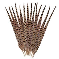 5pcs Pheasant Feather Natural Male Ringneck Tails Feathers for DIY Crafts Hom...
