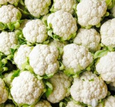 Cauliflower Snowball Y Improved Seeds 300+ Vegetable Garden NON-GMO USA FREE S&H