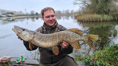 Fox Rage Deadbait Rig Per Luccio – Traccia In Filo 33lb Con Amo Triplo Taglie 2-8 UK
