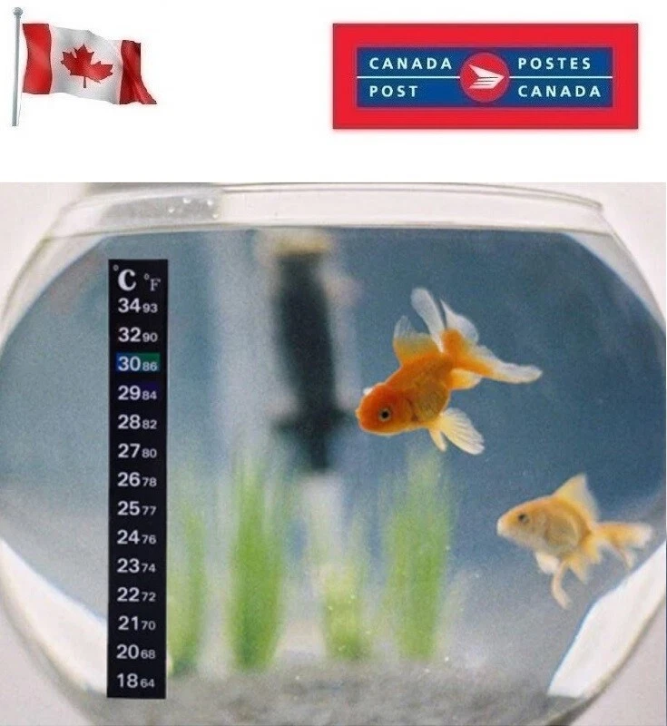Aquarium Thermometer Fish Tank Fridge Sticker Temperature Stick On
