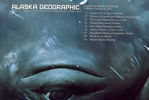 ALASKA GEOGRAPHIC MAGAZINE 1978 Whales & Whaling - Picture 2 of 2