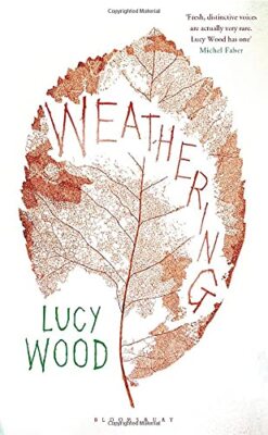 Weathering By Lucy Wood