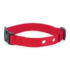 PetSafe 1 Inch Replacement Collar Strap with 2 Holes, Red