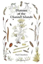Diatoms Of The Channel Islands