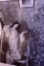 1904 Kamelie Max Svabinsky Arts & Crafts Secession Art Nouveau Art Nouveau