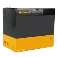 Continental Ctam WBE1071 Radlagersatz FüR Kia Hyundai