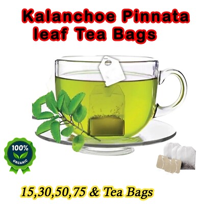 100 Tea Bag Kalanchoe Pinnata Powder Healthy Pure Leaves Powder Tea Bag Grade A