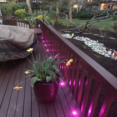 10-30x WIFI 31mm IP67 RGB+WW LED Decking Plinth Lighting Kit Garden Path Lamps - Picture 4 of 18