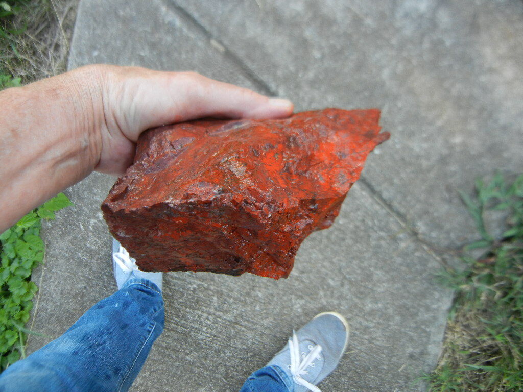 Foto 5 di 5