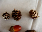 44 Acorns With Caps For Crafts PLUS A Pick/Sprig of Pine Cones — photo 7