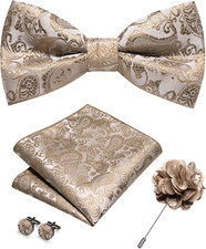Paisley Pre-tied Bow Tie and Pocket Square Cufflinks Lapel Pin Sets for Men 4PCS