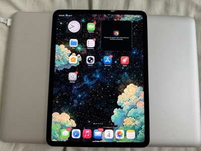 Apple iPad Pro 11-inch (2nd generation) A2228 1 TB, Wi-Fi + 4G, 11