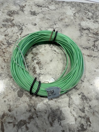 Scientific Anglers Air cel DT10F
