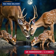 Diamond Art Kits for Adults Deer Family, DIY 5D Diamond Painting Kit for Beginne