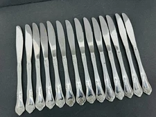 Oneida Arbor Rose Table Knife Stainless Steel Flatware (Lot Of 14)