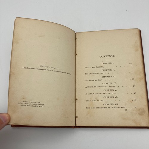 Christmas at the Abecs’ by Alfred S. Badger 1891 Antique Hardcover Old Book HC - Picture 11 of 17