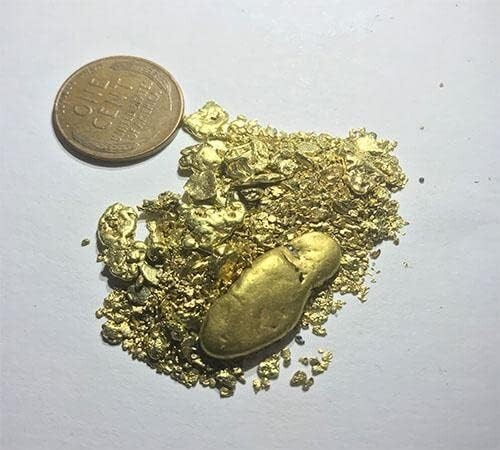 Pioneer '2 Ounce Nugget Hunt' Gold Paydirt Panning Pay Dirt Bag – Gold Prospecti - Picture 3 of 5
