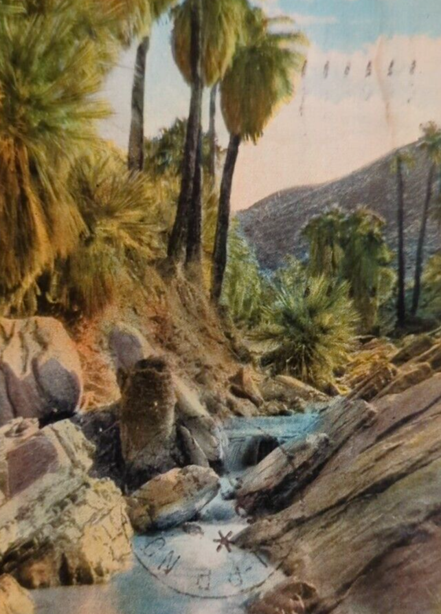 Upper Palm Canyon California Palm Trees Boulders Stream VTG Souvenir Postcard