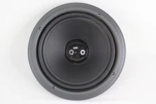 DBX Soundfield SF-50 Goldwood GW-1038 Replacement 10" Woofer Speaker ** Tested