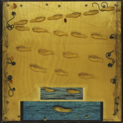 Fluxus: Collage mit getrockneten Fischen unter Plexiglas. 