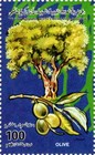 Bild 18 von 23