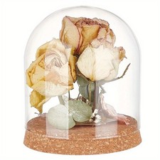 1pc Glass Dome Cover tive Display Case Cloche Bell Jar Terrarium with Cork Base