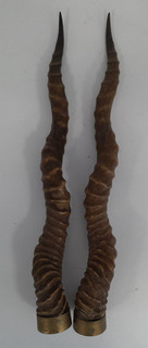 Pair Vintage Antelope Horns Brass Mounted Decorative Curved Blackbuck A20 Y190