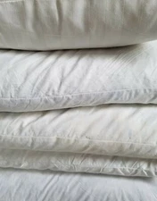 Down/Feather Pillow Inserts Variety of Sizes and Brands Pre-owned Clean