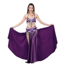 2024 Belly dance clothing 3-piece belt and skirt children's dance clothing set