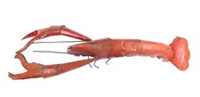 Modern Handcrafted Metal Lobster Crawfish Giant Restaurant Wall Decor 39"