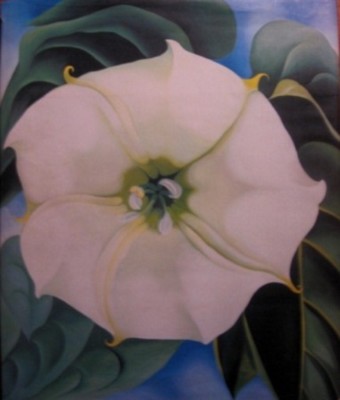 Georgia O'Keeffe / ONE HUNDRED FLOWERS First Edition 1987 | eBay