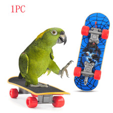 Pet Scooter Parrot Skates Bird Mini Training Skateboard Toy or Parrots