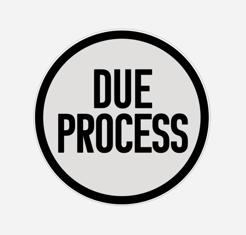 2-Pack DUE PROCESS Round CAR Magnet 4