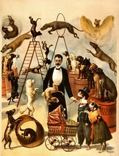 Trained Dog Act 1899  Circus  Poster Print  11 x 17  Giclee Print