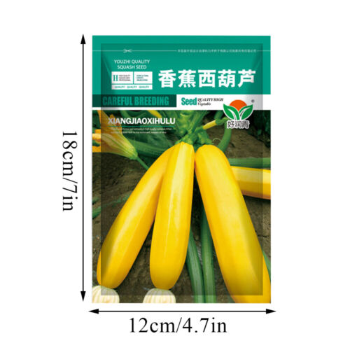 Squash Seeds Golden Zucchini 25 Ct Summer Vegetable NON-GMO USA FREE SHIPPING - Picture 4 of 15