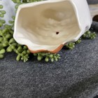 Bild 9 von 12