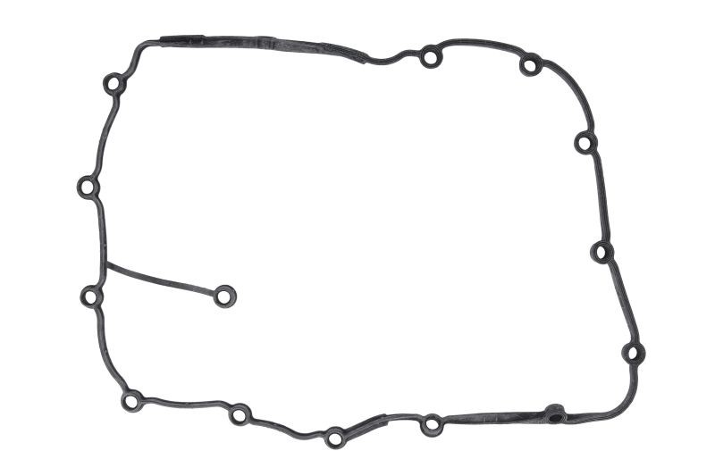 Fits REINZ 71-36053-00 Gasket, cylinder head cover 71-36053-00 Rocker cover gas